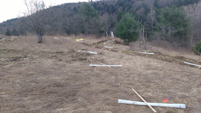 IMG_20190409_113812406