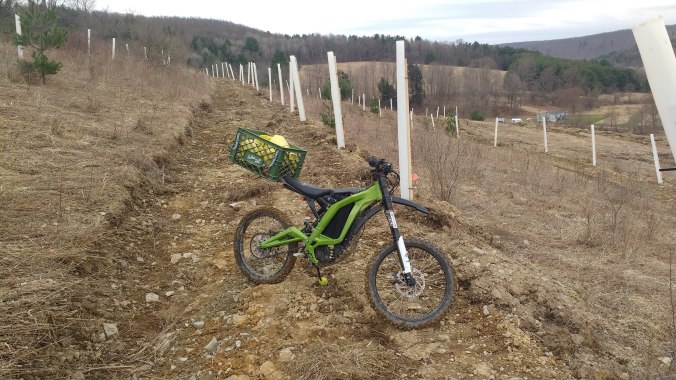 IMG_20190411_085245083